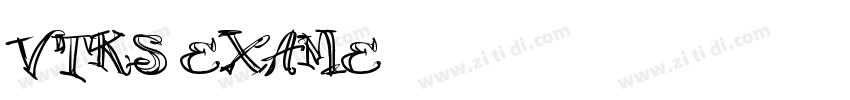 VTKS EXAME字体转换